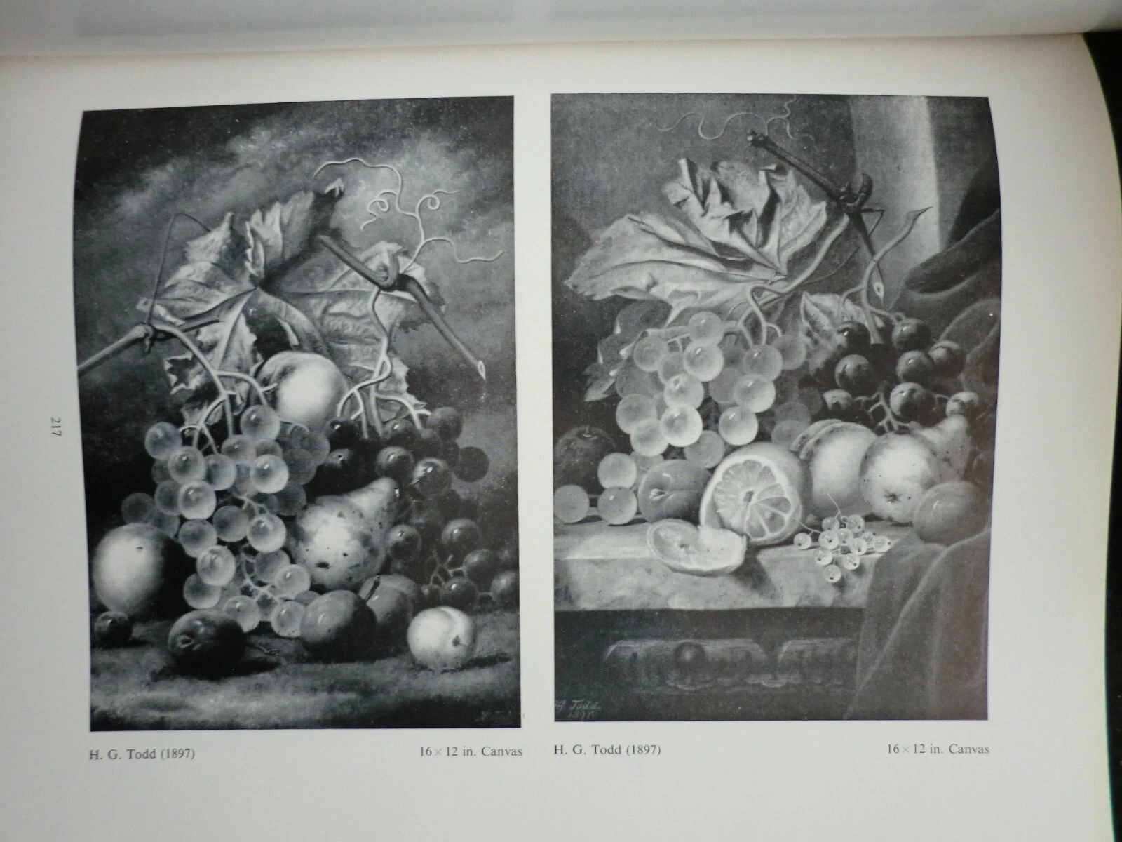 Picture 12 of 20