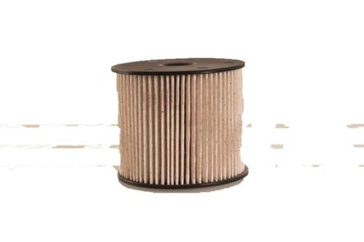 WF8256 Wix Kraftstofffilter
