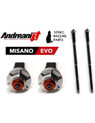 105/K10E PATRONE ANDREANI MISANO EVO KAWASAKI VERSYS 650 - 2010 2015