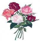 Machine Embroidery Designs Usb Antique Roses Collection 4X4 5X7 Flowers Vintage