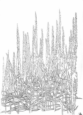 Veronica Blumen ORIGINAL DEVON ART Schlafzimmer Deko Tusche Papier Zeichnung A3