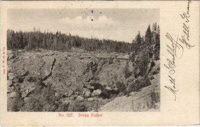 CPA AK Doda Fallet SWEDEN (1119342)