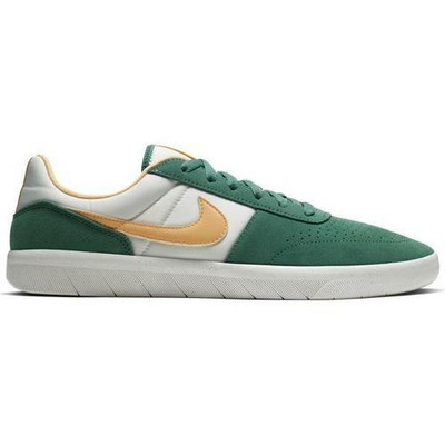 nike sb team classic bicoastal & celestial gold shoes