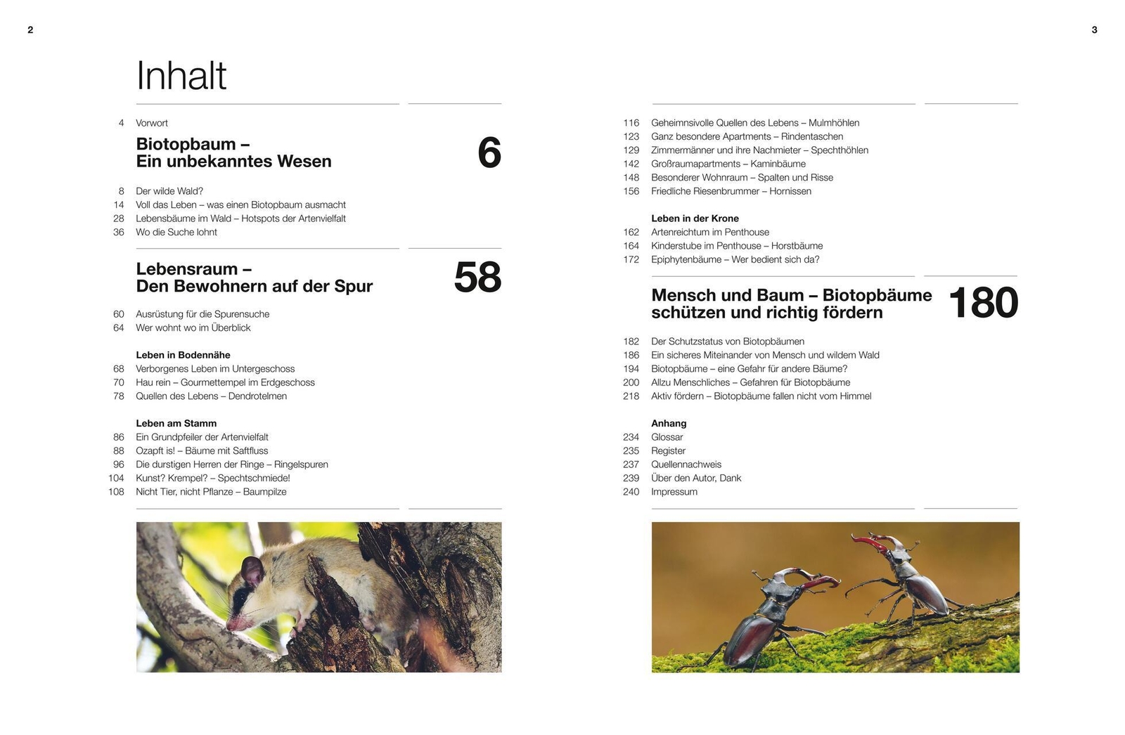 Thumbnail - Lebensraum Baum Volker Binner