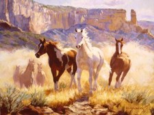 Ceramic Backsplash Tile Mural Horse Animal Kitchen/Bathroom - Out Of The Mist