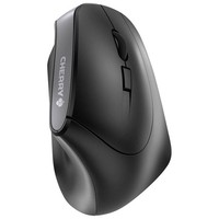 Cherry MW 4500 Maus Ergonomisch Kabellos Schwarz