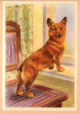 Vintage Corgi Print Robert Scholz Corgi Wall Art Illustration 5713u