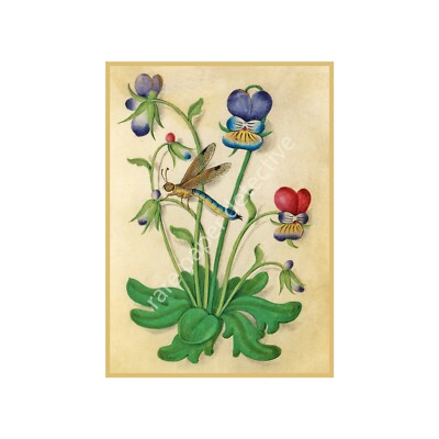 Botanical Print, Antique Flower Art with Dragonfly, Reproduction Art, 5'' x 7''