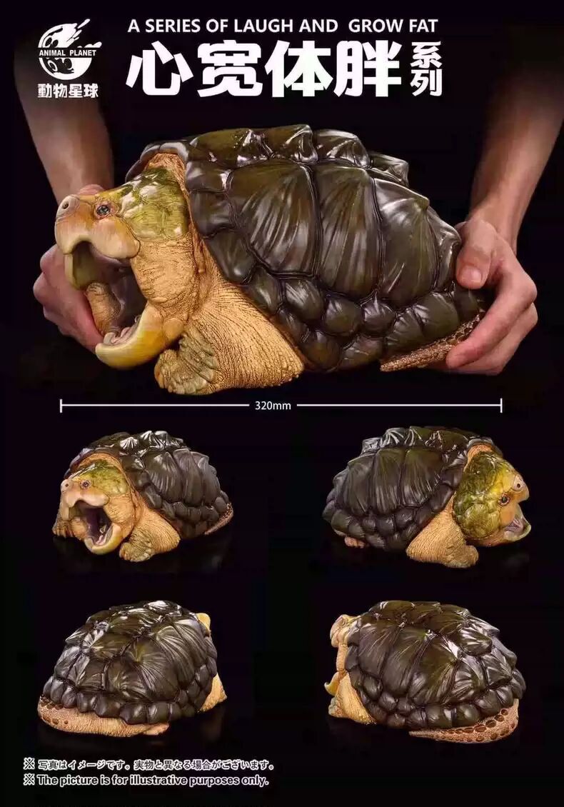 Animal Planet Animal Heavenly Body Alligator Snapping Turtle Set