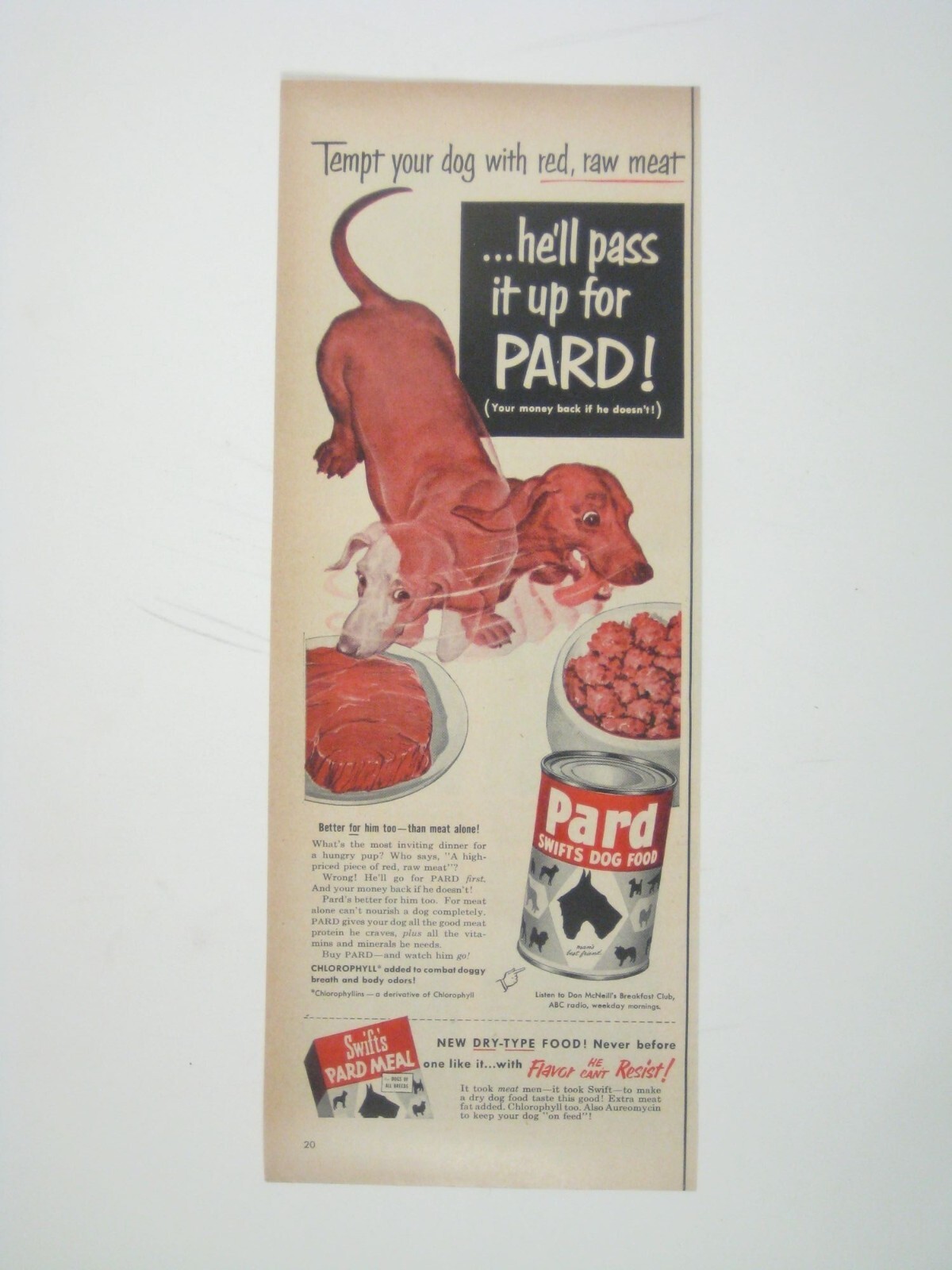 Ad Featuring Dachshunds Print Mod