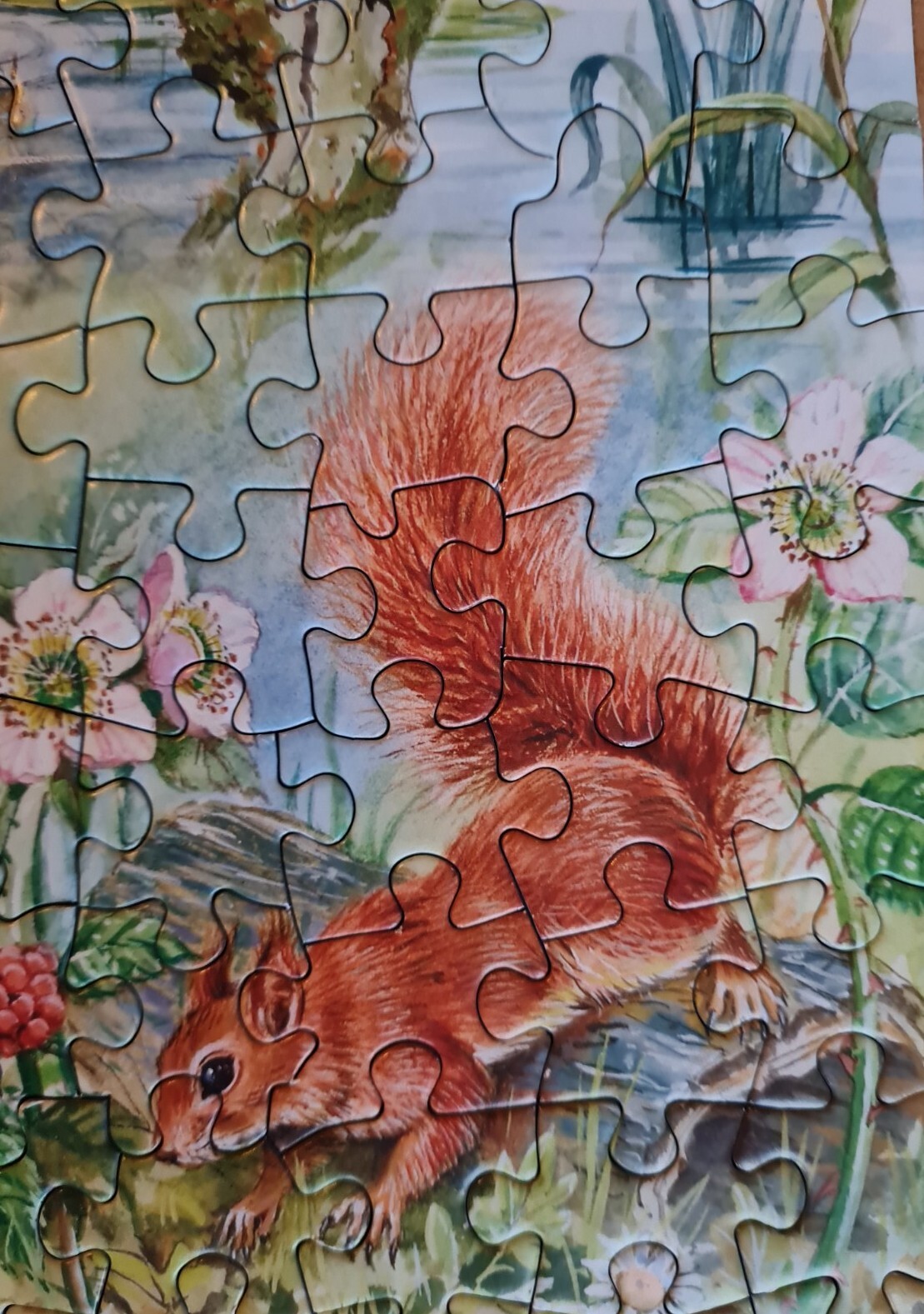 HOP House Of Puzzles BIG 250 Piece Jigsaw Puzzle NATURE STUDY COMPLETE
