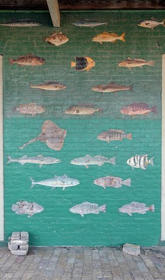 #ad #ad Photo:Port Isabel Texas 1906 Fish Mural Champion Building Arcade $13.49