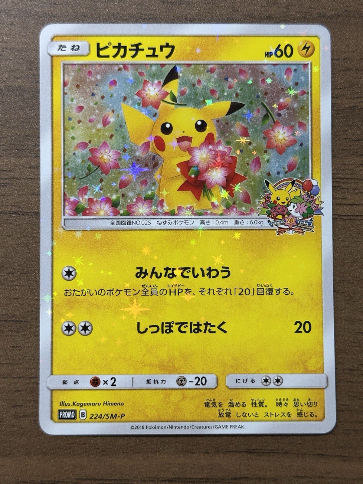Pikachu 224/SM-P Pokemon Center 20th Anniversary Promo Japanese Pokemon Card 658