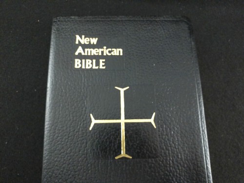 New American Bible Saint Joseph Edition NAB Large Type 9.5"x7"x2" - Imagen 1 de 18