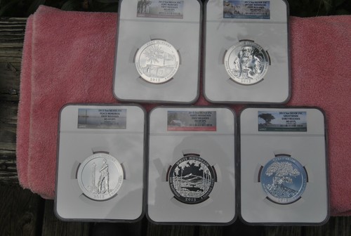 2013, NGC, America the Beautiful 5 oz set, MS69 DPL/PL, FR/ER