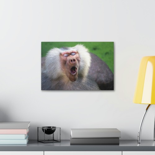 Close Up of Funny Baboon Outside Wall Art Ready to Hang Unframed - Imagen 11 de 15