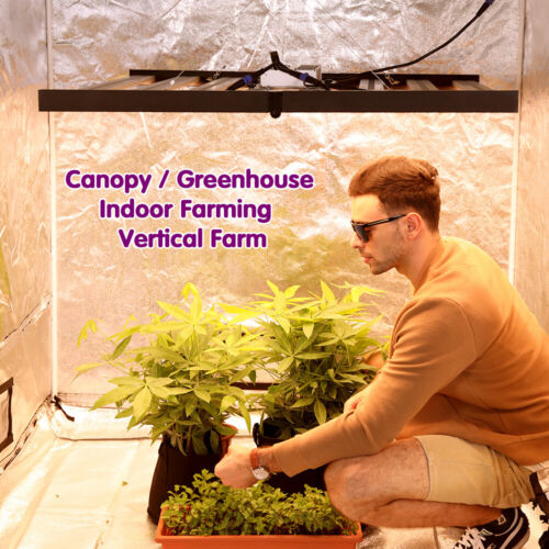 Phlizon 640W Lámpara Planta Espectro Completo Samsung LED Regulable Grow Plant Light - Imagen 18 de 33