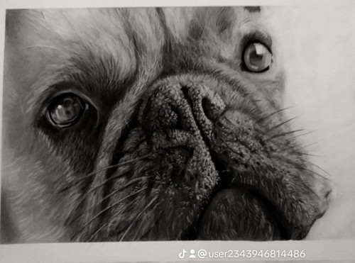 Original artwork/Commissions - Picture 8 of 21