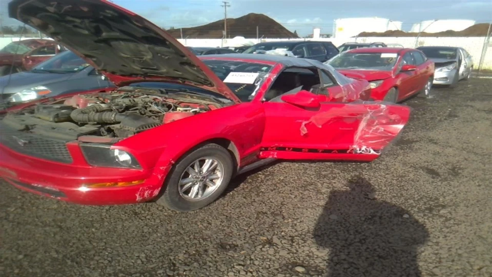 MUSTANG 2006 Door Handle Interior 31280035 Foto 4 de 4