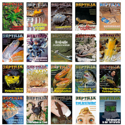 REPTILIA | Verschiedene Einzelhefte | Sammlung | Terraristik Reptilien Amphibien