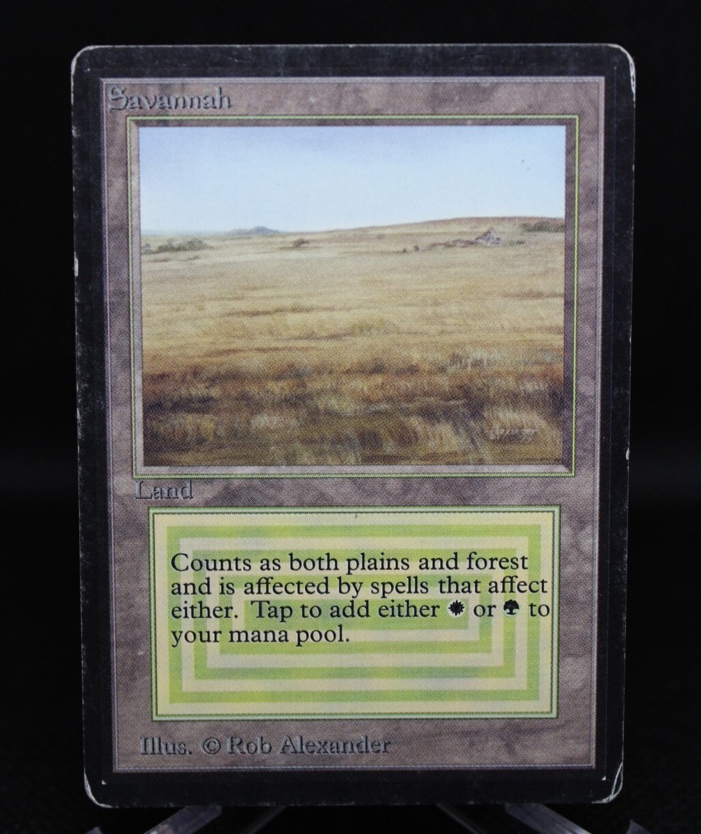 MTG「Savannah」