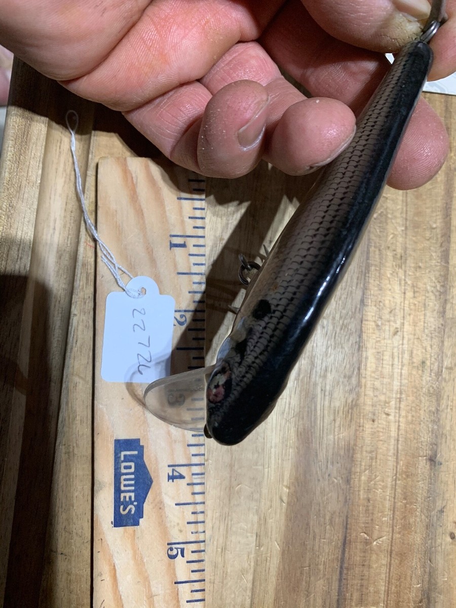 Bagley Large Small Fry fishing lure (22726) | eBay