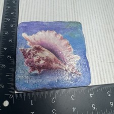 Coastal Seashell Hand Painted Signed Wall Tile 4 x4 Signed