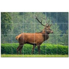 Deer Ceramic Tile Wall Mural PT500441. 25.5" W x 17" H 24 4.25 tiles