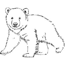 'Polar Bear Cub' Unmounted Rubber Stamp RS025493 