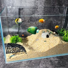 Fan-shaped Grid Tunnel Plastic 3D Aquarium Cave Underground Corner Fish Tunnel