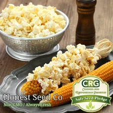 Yellow POPCORN Corn Seeds for planting | Non-GMO | UNTREATED | Bulk Garden Seeds