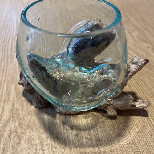 Glass container with driftwood pedestal