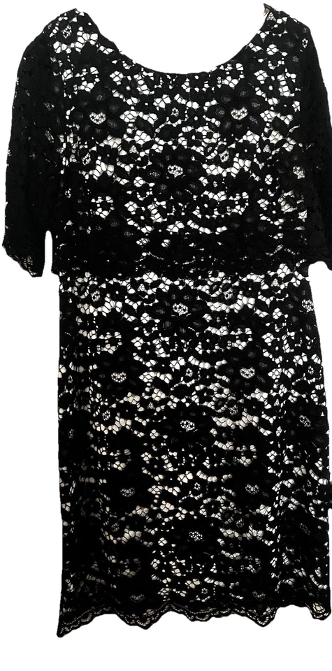 REVIEW, Sz 14, Lace Lined Event Dress, Zip Back. 