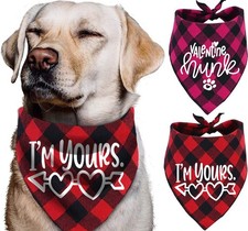 2 Pack Valentine's Day Dog Bandanas for Small Medium Large Pets Hearts