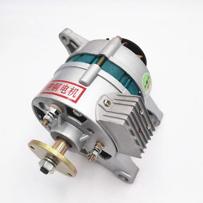 12V Permanentmagnet AC/DC Laden mit Lampe Synchrongenerator 1200W Generator