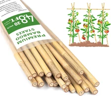 Plant Stakes 4.8FT, Natural Bamboo Stakes,  20Pcs Sturdy Bamboo Garden Stakes, B