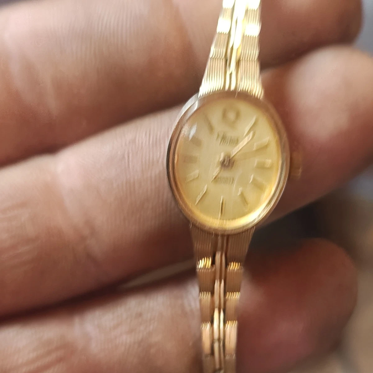 Titus Women Analog Wristwatches for sale | eBay