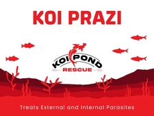 KOI PRAZI Fluke Destroyer for Fish Ponds & Aquariums