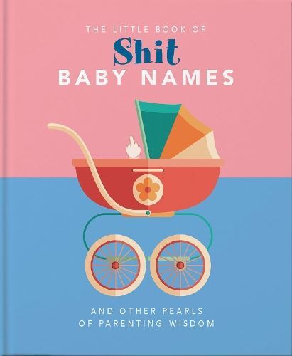 The Little Book Of Shit Baby Names None New