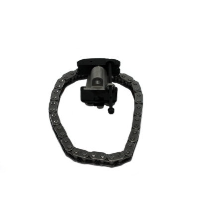 Steuerkettensatz für Ford Fiat Peugeot 2.0 2.2 HDi LR000663S1