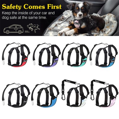 dog driving harness
