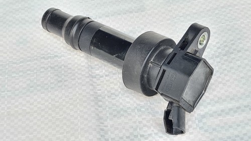 Zündspule Carens Ceed Cerato Optima Proceed Rio Soul Sportage Venga 1,6