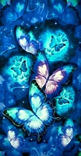 Cosmic Butterflies Butterfly Fabric 24" Panel Cotton Timeless Treasures CD1834