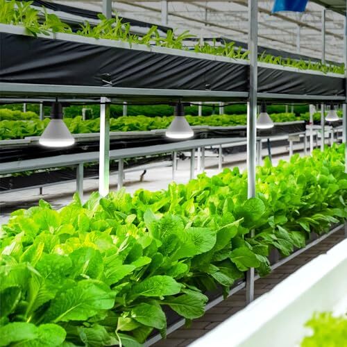 192W String LED Grow Light, 1500W Equiv. Full Spectrum 4000K Daylight Plant - Bild 7 von 7