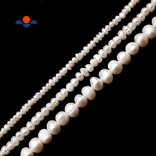 Fresh Water Pearl White Potato Rondelle Button Beads 2x3mm 3x4mm 5x6mm 15.5"Strd