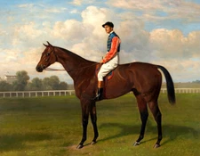 Royal Horse Racing oil painting Giclee Art Printed on canvas L3662