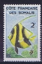 1959-60 COTE DES SOMALIS  Y & T  N° 293  Neuf ** SANS CHARNIERE