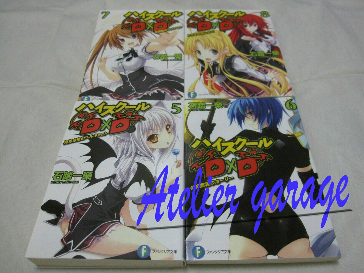 High School DxD Light Novel 1-25 Volume Set [Used]