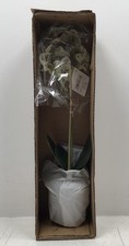 Napa Home And Garden Purple And White Phalaen...