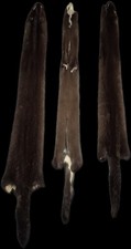 VINTAGE Dark Brown Ranch Mink Pelt -25" Length Silky Soft Fur -includes 3 pelts